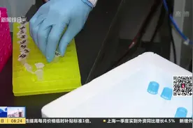 用眼过度成通病，“看手机瞎眼睛”也许有救了，上海科学家有方法