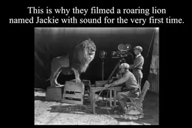 《猫和老鼠》片头狮子吼演变史——米高梅进化史