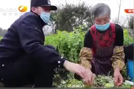 民警当“微商”，一天卖菜上千斤，解菜农燃眉之急|都市热线0225视频封面
