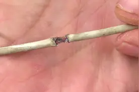 苹果数据线断掉了-这样接它才科学视频封面