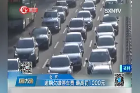 最高罚一千元，逾期欠缴停车费要受罚，可不敢再拖了视频封面