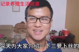 阿源养殖，今天给大家分享农家菜酸萝卜丝的做法，非常简单
