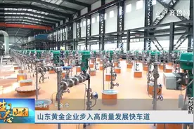 山东招金矿业有限公司：全年总产量32.69吨，实现营收近63.3亿元视频封面