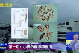 首都科学讲堂 | 揭开小麦传入中国之谜 第一讲视频封面