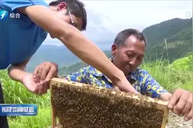 福建电视台乡村振兴公共频道开播，于伟国对频道开播表示祝贺