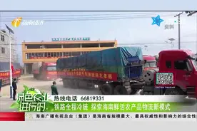 铁路全程冷链 探索海南鲜活农产品物流新模式视频封面