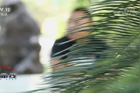 老人被撞骨折 几日后离奇死亡 撞人夫妻联手演戏 死者家人也知情视频封面