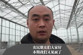 你还在用老方法种辣椒？难怪结的辣椒产量低，快学学新方法吧
