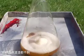 趣味化学 浓硫酸加双氧水威力有多强 肉和香肠瞬间牺牲 细思极恐