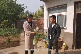 小妹到邻居 叔家 抽蒜苔，小抠的阿杰 竟想一个棒棒糖 换一个媳妇视频封面