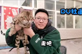 幼猫什么时间打疫苗 打几针？打了疫苗就不会传染猫瘟了吗？
