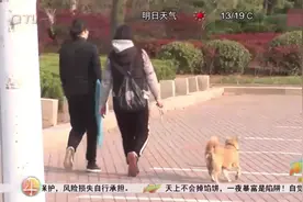 公园遛狗不栓狗绳，青岛执法部门现场查处！向不文明养犬行为说不