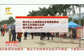 南宁人力资源市场表示，想要求职的人员可在网上进行应聘视频封面