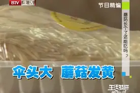 放在冰箱的金针菇，莫名其妙长大了，长个了的蘑菇还能吃吗？视频封面