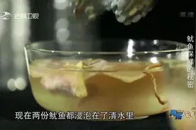 真相123：铁板鱿鱼被双氧水泡过？这还能吃吗，专家告诉你咋回事