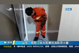2米大蛇缠上淄川消防员，又咬裤子又缠腿，现场惊险画面曝光视频封面