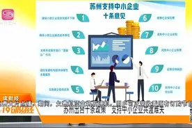 苏州出台十条政策支持中小企业共渡难关视频封面