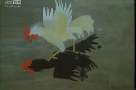 【斗鸡】关于黑公鸡和白公鸡的决斗