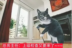 据说，开学后，各科老师的表情是这样的，不许笑！看有你的没？视频封面