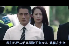 《寒战2》：刘杰辉乘坐处长车牌号1为警司送葬视频封面