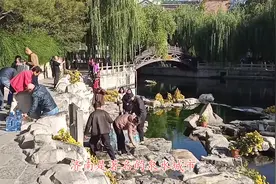 济南为什么称为泉城？看这遍地的泉眼，当地居民每天取泉水喝视频封面