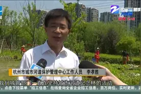 318位援鄂英雄种下318棵樱花树 留下最美逆行者的足迹视频封面