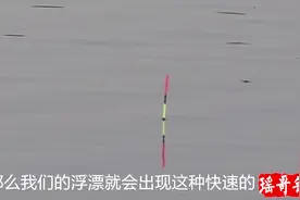 浮漂明明有动作，却打不到鱼，原因出在这个4个方面！视频封面