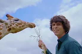 安迪的动物宝宝，让我们来认识可爱的动物们吧视频封面