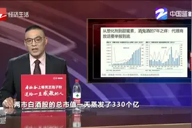 2012年塑化剂风波 酒鬼酒跌落谷底视频封面