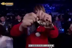 韩国巨人崔洪万赛前嚣张，敖日格勒不服气上擂台，被打晕在边角视频封面