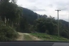 重庆这山路太难开，轿车开到怀疑人生视频封面
