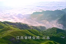 全国人大代表朱虹：打造江西森林旅游特色品牌视频封面