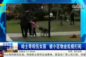 哈士奇“发疯”撕咬女童，小区保安乱棍将其打死，狗主人仍未找到视频封面