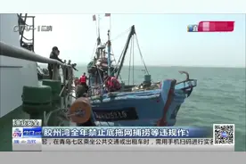 海上执法！青岛胶州湾全面禁止底拖网捕捞等违规作业视频封面