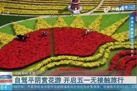 五一不想去“看人”？济南平阴浪漫花海等你来，满眼玫瑰满园香