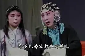 【山东莱芜梆子】 全本《王华下书》（上）视频封面