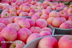 严选时刻：一年四季都能吃到栖霞苹果吗？视频封面