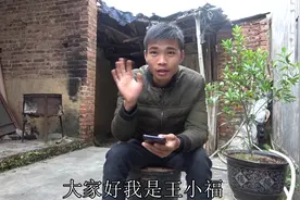 养蜂育王，交尾成不成功，就看天气，其实冬天也是可以育蜂王的视频封面