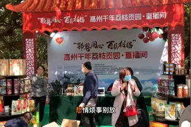 2020年茂名高州荔枝文化节新闻发布会及千年荔枝贡园直播会场体验