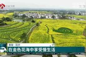 春暖花开！南京万亩油菜花盛开，在金色花海中享受慢生活视频封面
