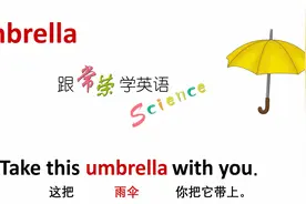 我的家 umbrella 雨伞 牛津初高中小学少儿童英语单词和例句子 4K视频封面