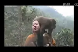 记录：延参法师峨眉山讲人生遭猴子调戏 ，专治各种不开心、抑郁