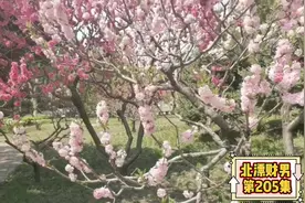 今天是4月28号是特殊的日子，部份学校开学，社区解禁，未来可期视频封面