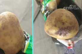 生活圈：土豆刚买两天就“破相”，这是何原因所致？专家：粉痂病