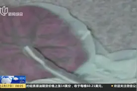 分娩之后的胎盘可带回家！医生提醒：胎盘能传输营养也能传染疾病视频封面
