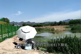 北京青龙湖水岸湿地旁，新发现一处免费钓鱼的好地方，人多钓鱼忙视频封面