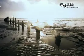 自然纪录片：野性英伦-夏视频封面