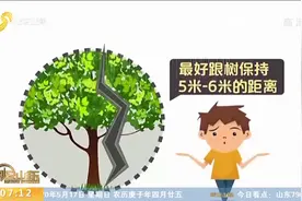 雷雨季节来袭，教你在户外如何防雷击，赶紧看看，关键时刻能救命