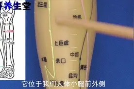 如果大肠出现了问题如便秘 痔疮 直肠癌等，不妨按一按这个穴位视频封面