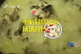 真相123：鱼汤为什么会是乳白色？专家：是因为脂肪溶解进了汤中